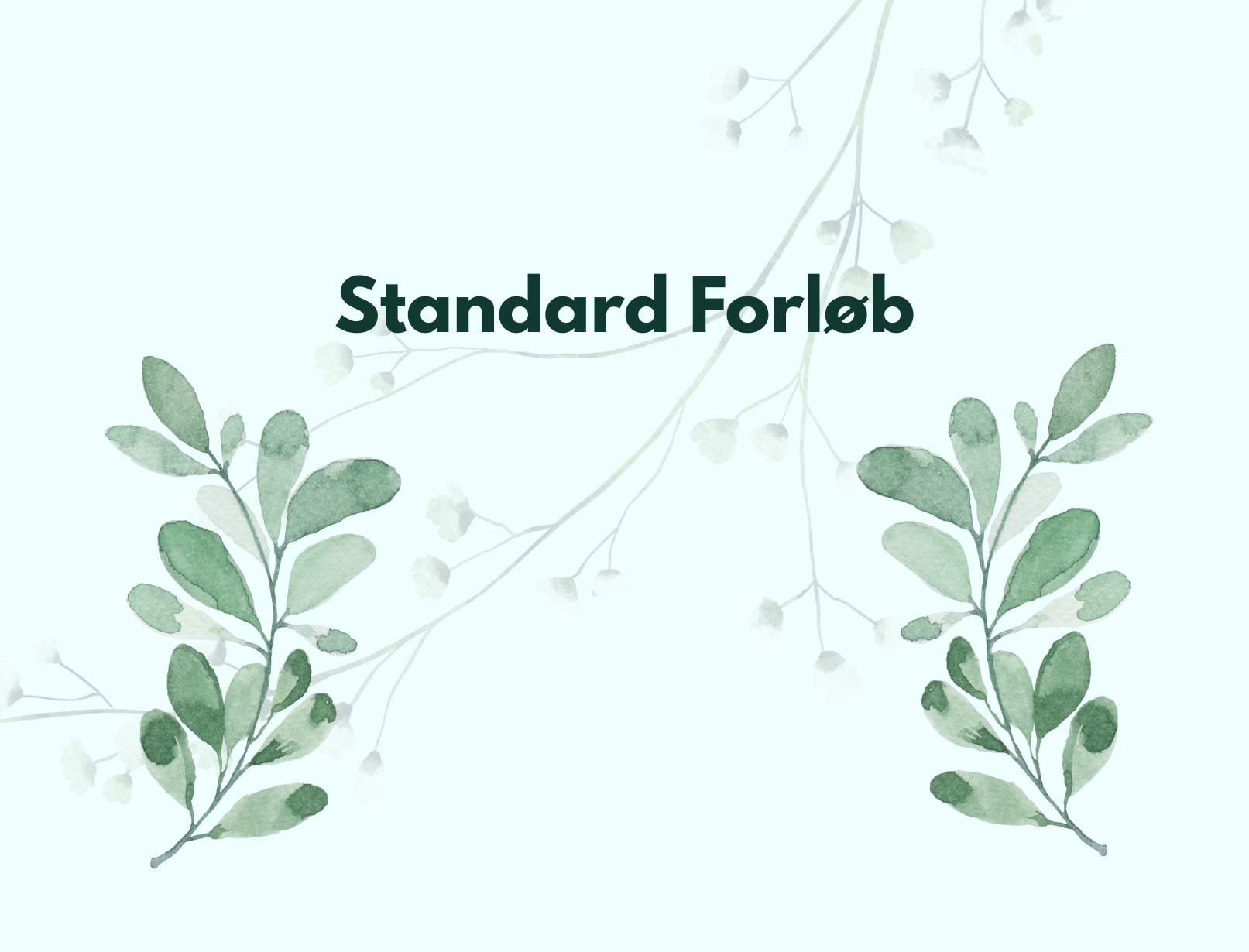 Standard Forløb
